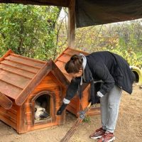 74242374_530467104417407_4895443516852797440_n