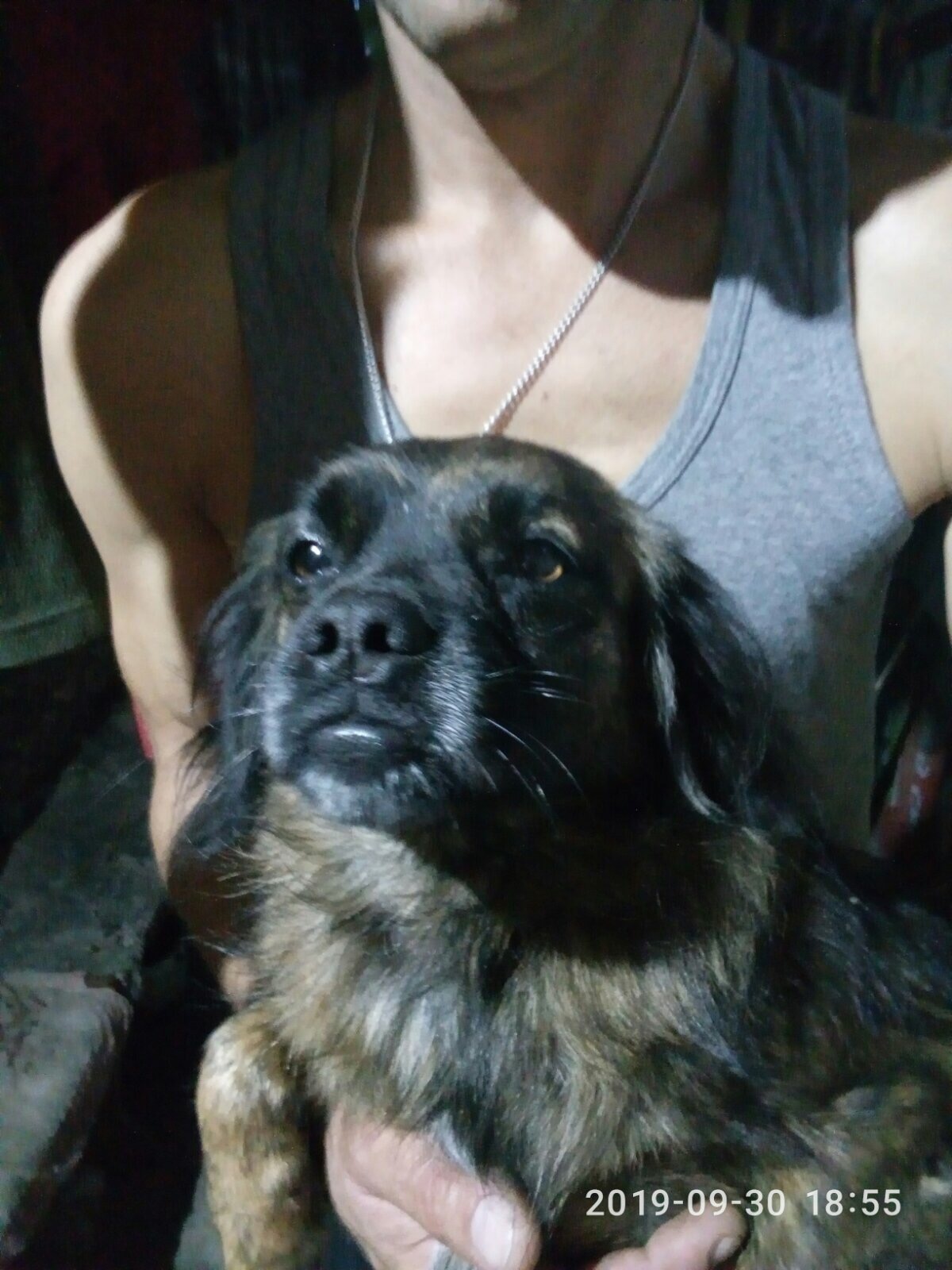 Gerdochka