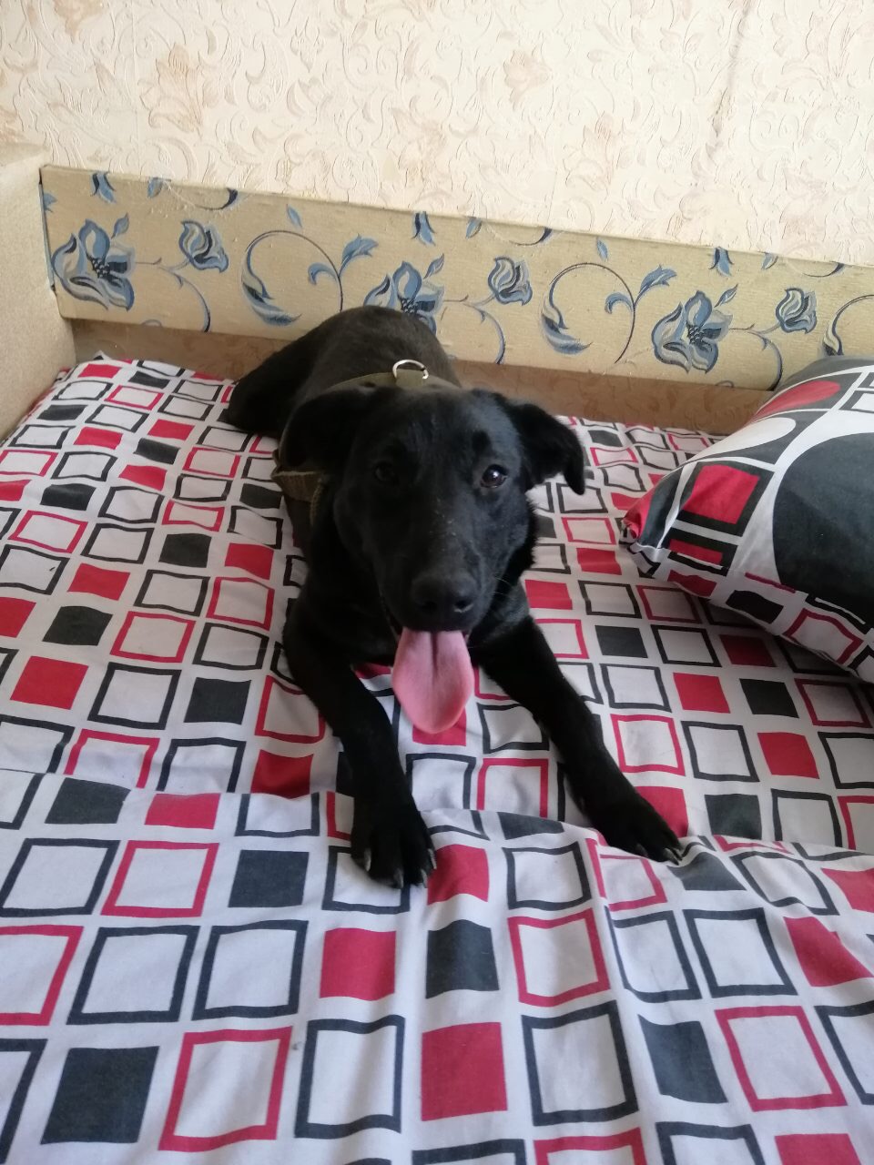 Maggie