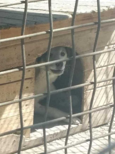 Bim1-542x720_result_result