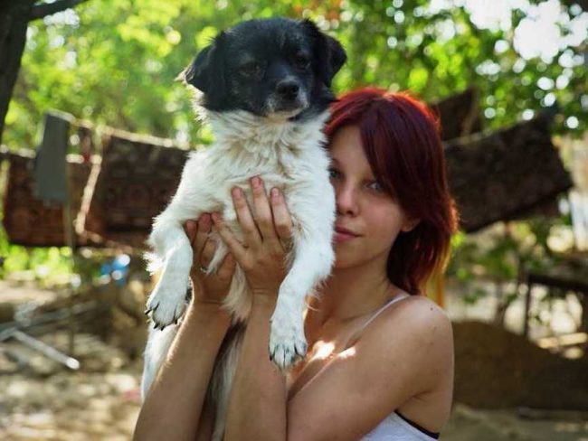 Dakota1-802x603_result_result