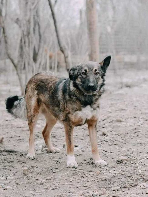 GAL_20190604_103819_985-602x800_result_result