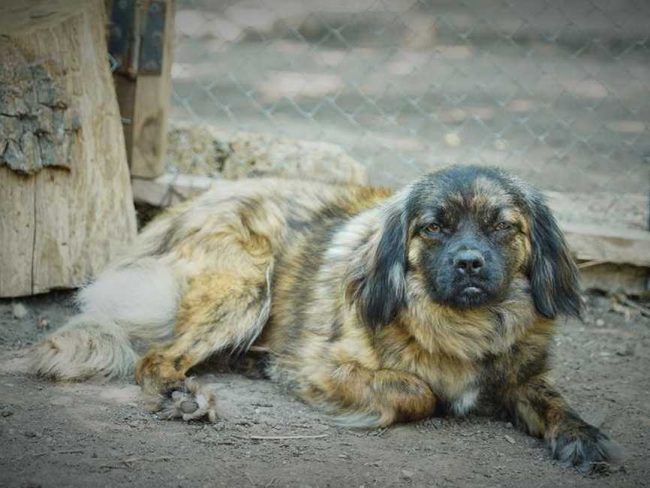 Gerda3-650x865_result_result