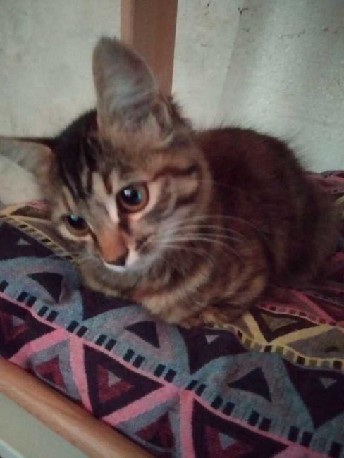 IMG_9851-768x1024_result