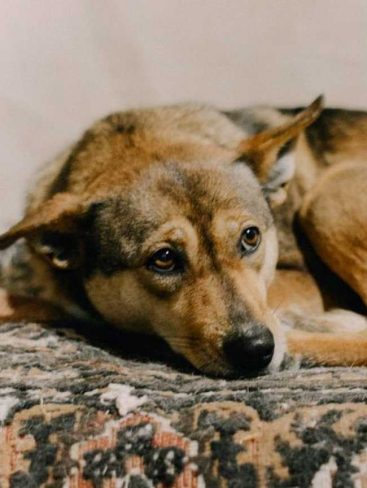 Jesica_2019-06-19_16-43-15-513x682_result_result