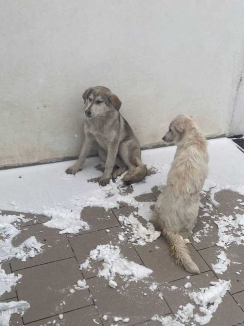 P01-1 (2)_result_result