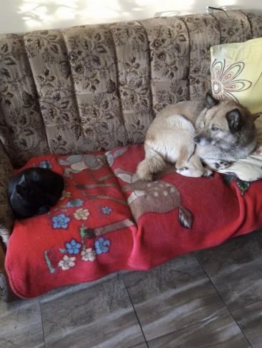 P01-1210x1609_result_result