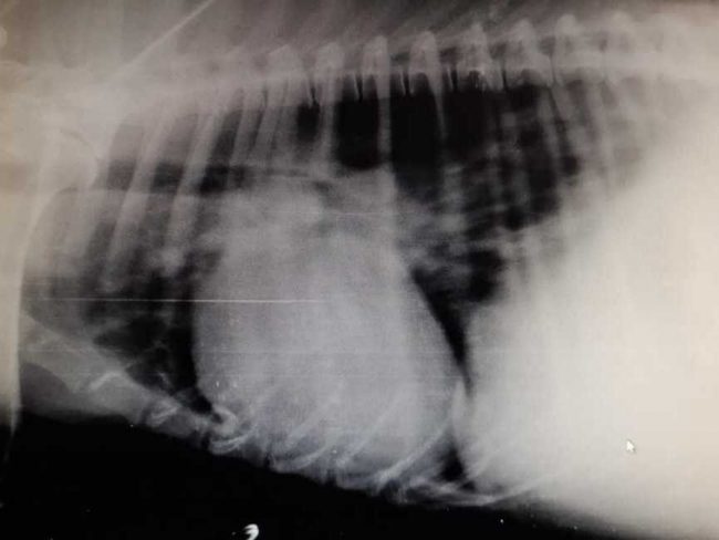 P0102-1351x1016_result_result