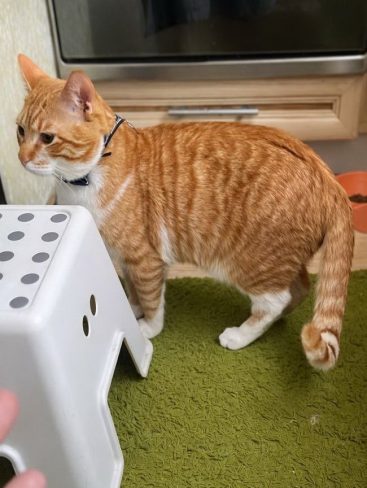 P02-770x1024_result_result