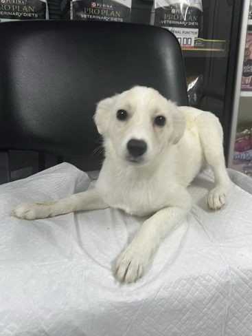 P02-902x1200_result_result