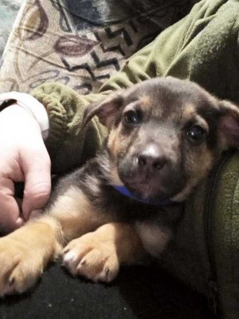 P0201-640x851_result_result