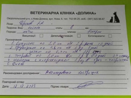 P0204-1197x900_result_result