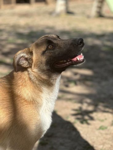 P02_result P02_result