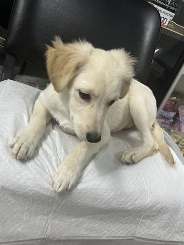 P03-902x1200_result_result