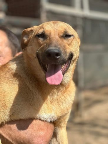 P03_result P03_result