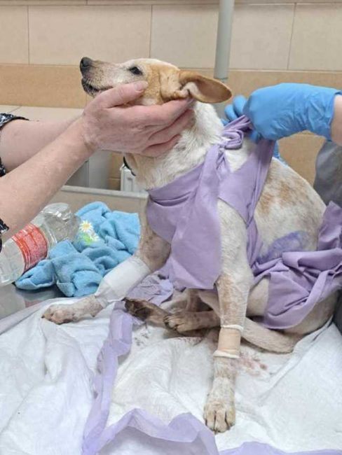 P04-1070x1423_result_result