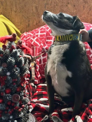 P04-895x1191_result_result