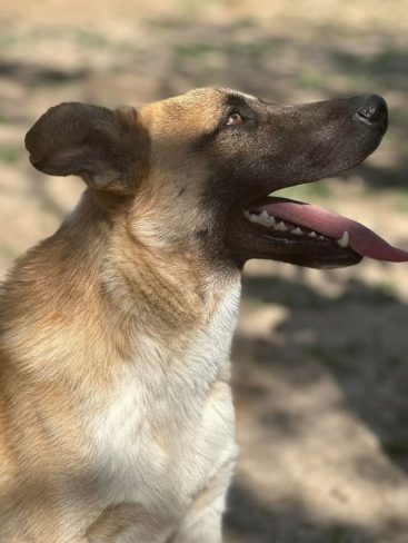 P04_result P04_result