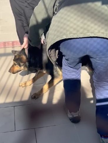 P04_result_result P04_result_result