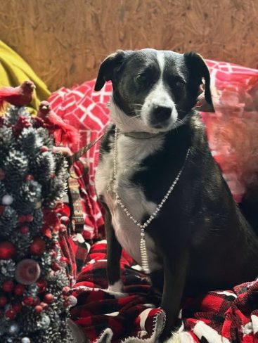 P05-862x1146_result_result