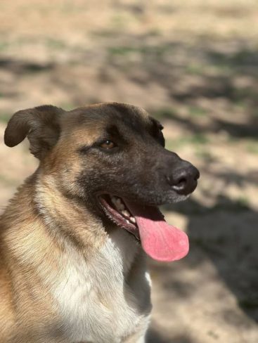 P06_result P06_result