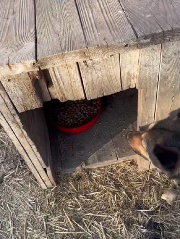 P07_result_result P07_result_result