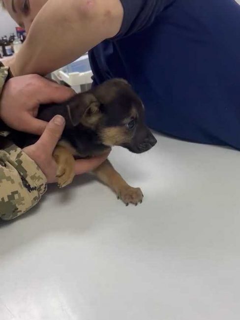 P08-606x806_result_result