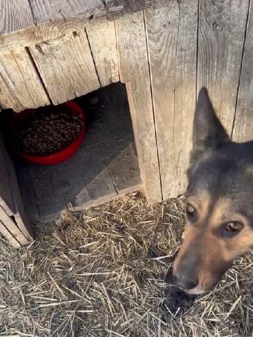 P08_result_result P08_result_result