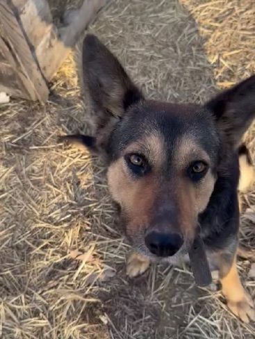 P09_result_result P09_result_result