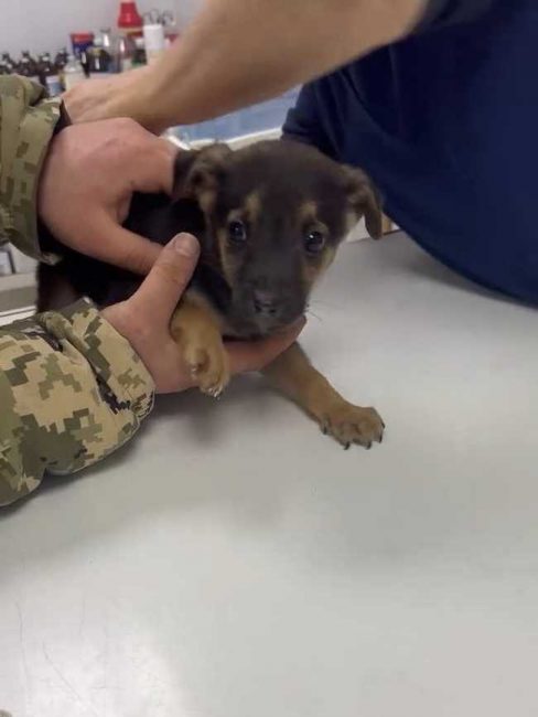 P10-606x806_result_result