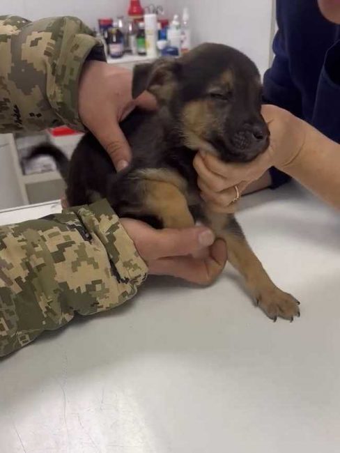 P13-606x806_result_result