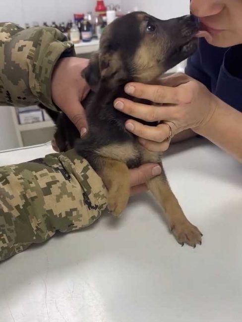 P16-606x806_result_result