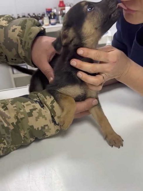 P17-606x806_result_result