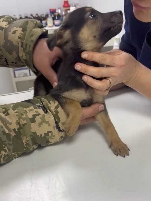 P18-606x806_result_result