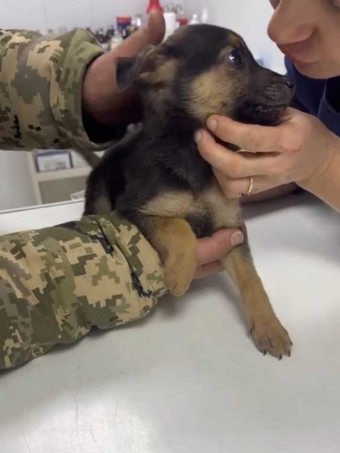 P19-606x806_result_result