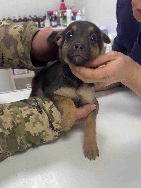 P20-606x806_result_result